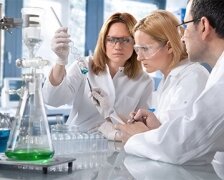 Уважаемые господа!